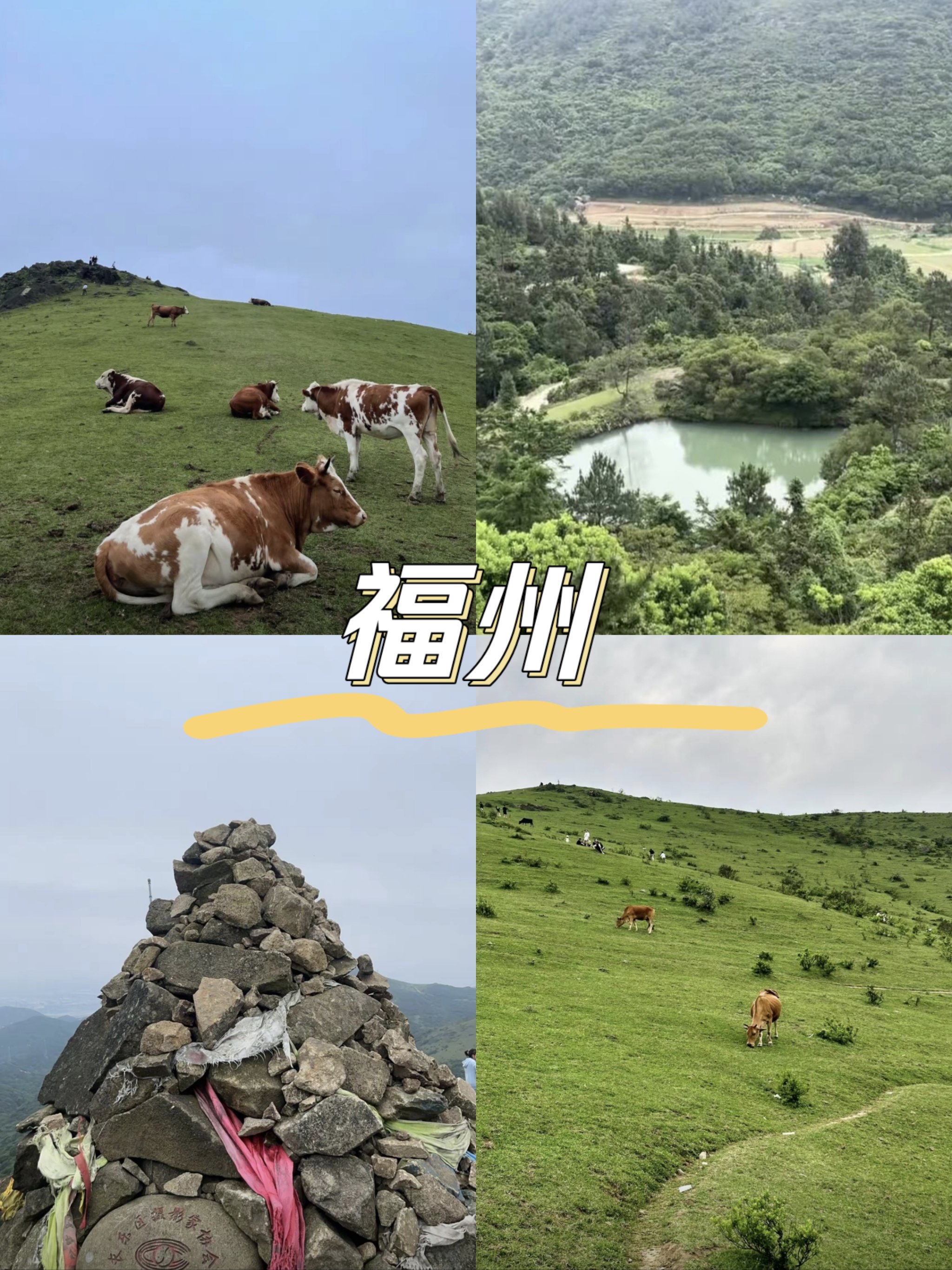 大姆山草场游玩攻略图片