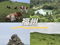 -大姆山草场