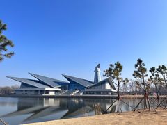 -盐城丹顶鹤湿地生态旅游区