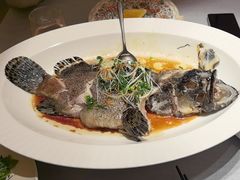 -觅唐MITONG(鸟巢店)