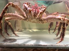 -樱之盛宴·蟹料理海鲜自助(前进大街店)
