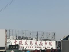 -中环花鸟鱼虫市场