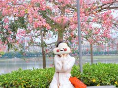 -风云岭森林公园