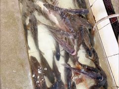 -庆岭迎宾园正宗活鱼馆