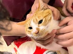 -宠颐生汉谟拉比宠物医院