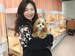 -翊宠yipet猫狗购宠庄园犬舍•猫舍