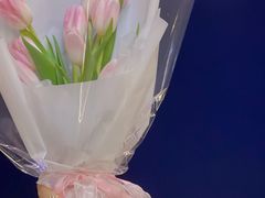-卡普里披萨·牛扒·下午茶