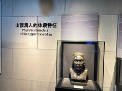 -北京周口店北京人遗址博物馆