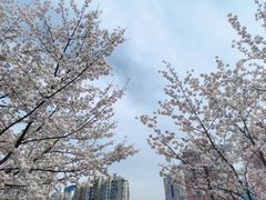 -静安雕塑公园