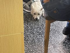 -面道赞宁海海鲜面(迎凤街店)