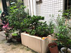 -大自然素食(望桐路店)