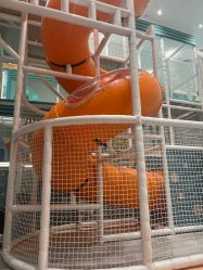 -奈尔宝·儿童乐园·亲子餐厅(鄞州万达店)