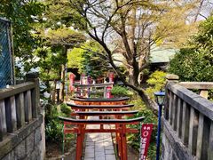 -上野公园花园稻荷神社(忍岡稲荷神社)