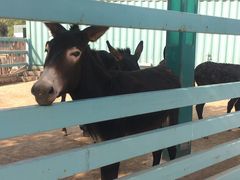 -酷鱼垂钓CLUB(朝阳区博大路店 )