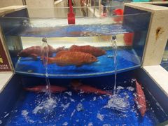 -海景壹号大酒店(滨湖店)