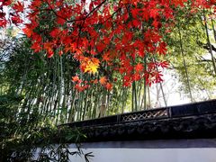 -秋霞圃