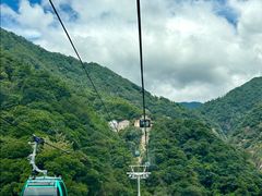 -大鄣山卧龙谷景区