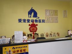 -瑞鹏宠物医院·爱宠堂·骨外专科(西荷分院)