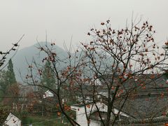 -丹山赤水风景名胜区