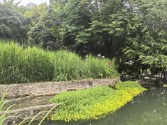 -成都市活水公园