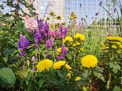 -深圳国际园林花卉博览园