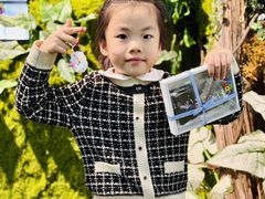 -蕃茄田艺术•美术绘画 •硬笔书法(滨江海威领界店)