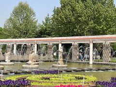 -石家庄市植物园