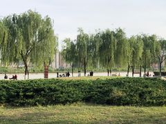 -咸阳湖景区