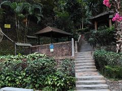 -广东天露山旅游度假区