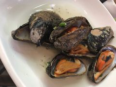 -红星渔村(将军石店)