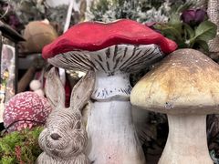 -春风·有糖(崇宁路店)