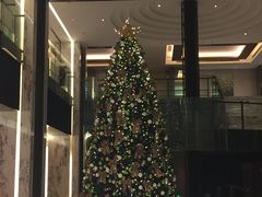 -上海漕河泾万丽酒店