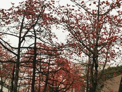 -烈士陵园(地铁站)