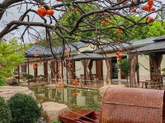 -湘力力小院·鱼汤泡饭(枫林路店)