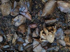 -白鹭湾湿地公园