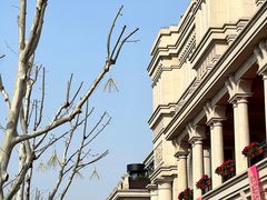 -天津五大道文化旅游区