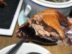 -大鸽饭(岗顶店)