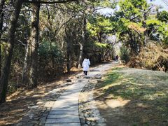 -缥缈峰景区