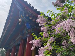 -西安市广仁寺