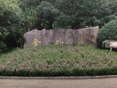 -金外滩花园