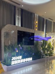 -深圳美莱医疗美容医院