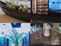 -大头椰·椰子鸡火锅(南宁万象城店)