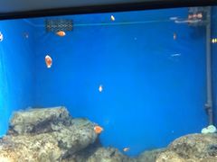 -福州罗源湾海洋世界旅游区