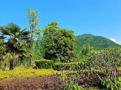 -终南山国家森林公园