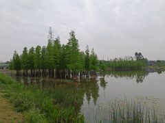 -白鹭湾湿地公园