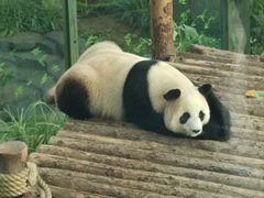 -大连森林动物园