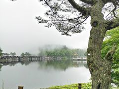 -庐山风景区花径公园