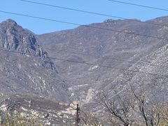 -白水寺森林公园