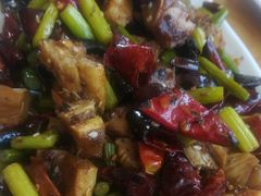 -姚一刀大广安驴肉(津保路店)