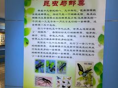 -上海昆虫博物馆